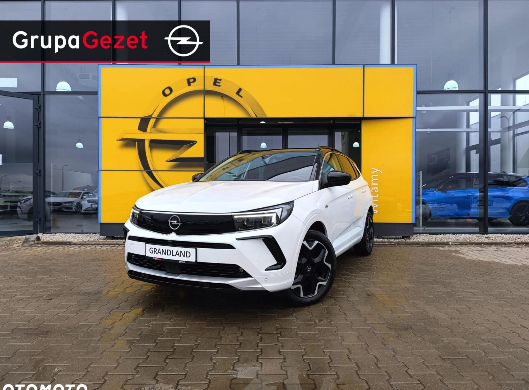 Opel Grandland cena 135990 przebieg: 5, rok produkcji 2024 z Tarczyn małe 121